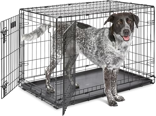 Best Dog Crates for Home and Travel (2026)