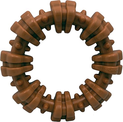 Nylabone Power Chew Textured Ring, Flavor Medley