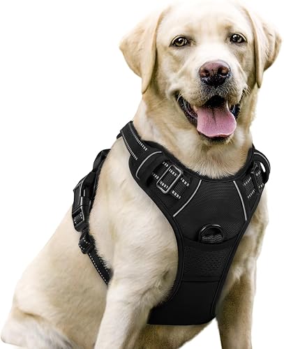 Best Dog Harnesses for Pullers and Adventurers (2026)