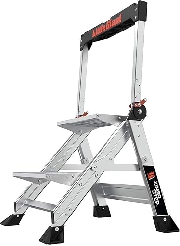 Best Step Ladders (2026)