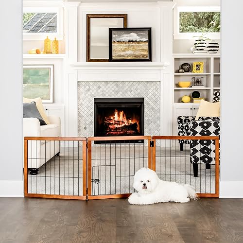 Best Dog Gates for Every Doorway (2026)