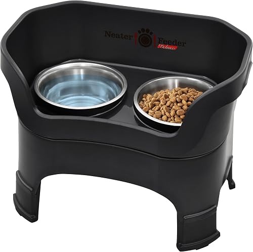 Best Elevated Dog Bowls for Cleaner, Comfier Meals (2026)