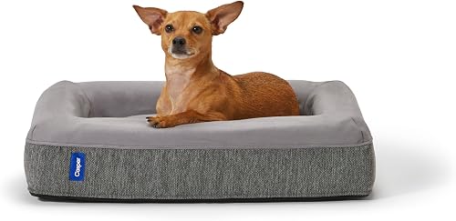 Casper Dog Bed with Memory Foam