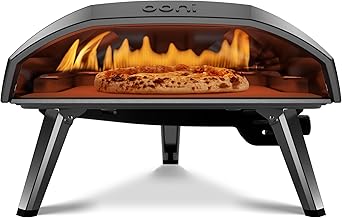Best Pizza Ovens for Home Use (2026)