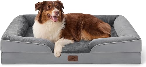 Best Dog Beds for Every Sleeper (2026)