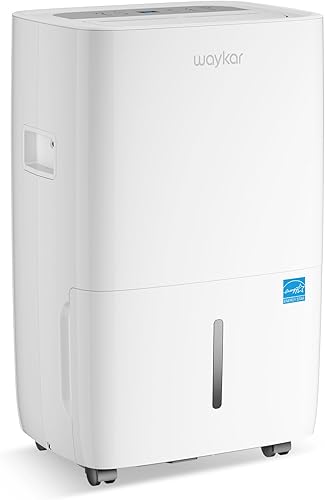 Best Dehumidifiers for Basements and Bedrooms (2026)