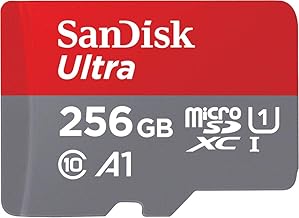 SanDisk Ultra microSDXC 256GB