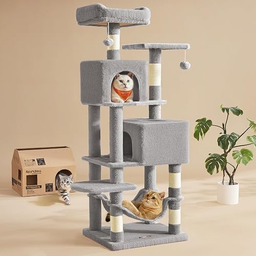Best Cat Trees for Climbers and Loungers (2026)