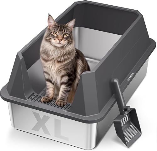 Best Litter Boxes for Odor Control (2026)
